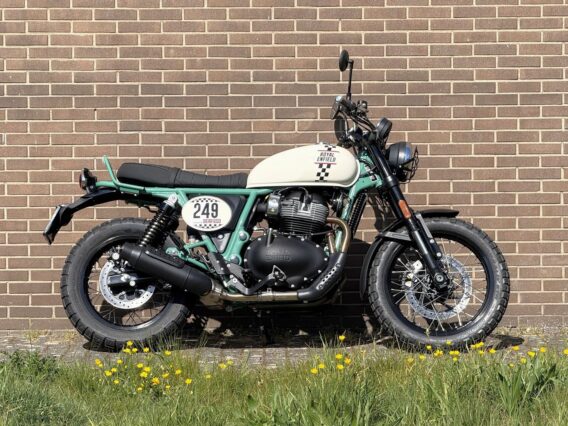 ROYAL-ENFIELD Bear 650 - Afbeelding 3