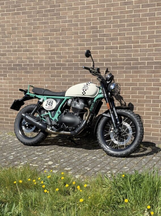 ROYAL-ENFIELD Bear 650 - Afbeelding 5