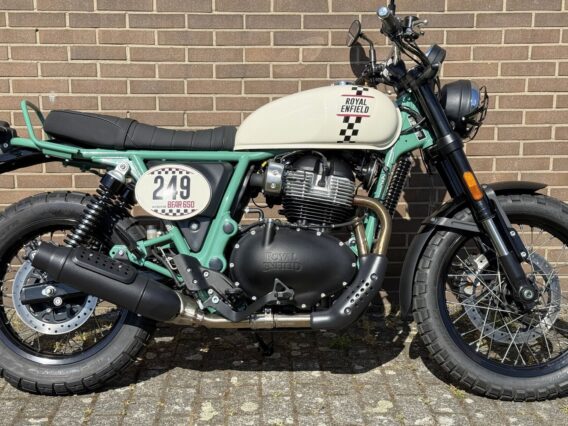 ROYAL-ENFIELD Bear 650 - Afbeelding 6