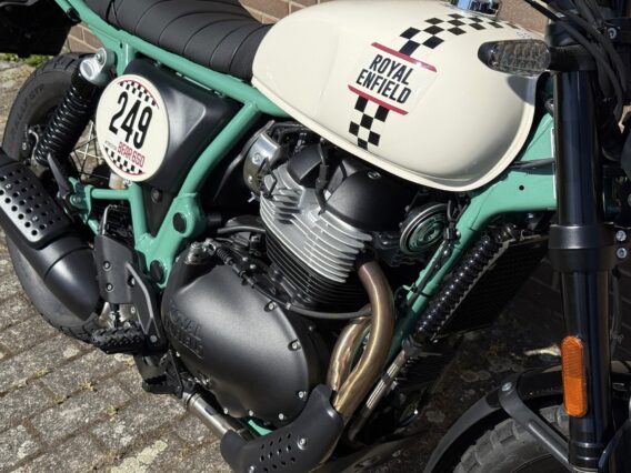 ROYAL-ENFIELD Bear 650 - Afbeelding 13