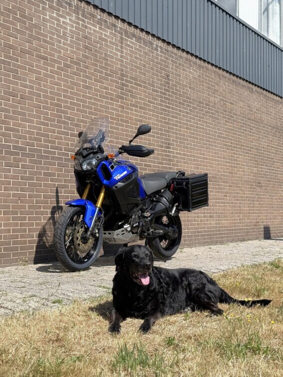 Yamaha XT 1200 Z Super tenere - Afbeelding 9