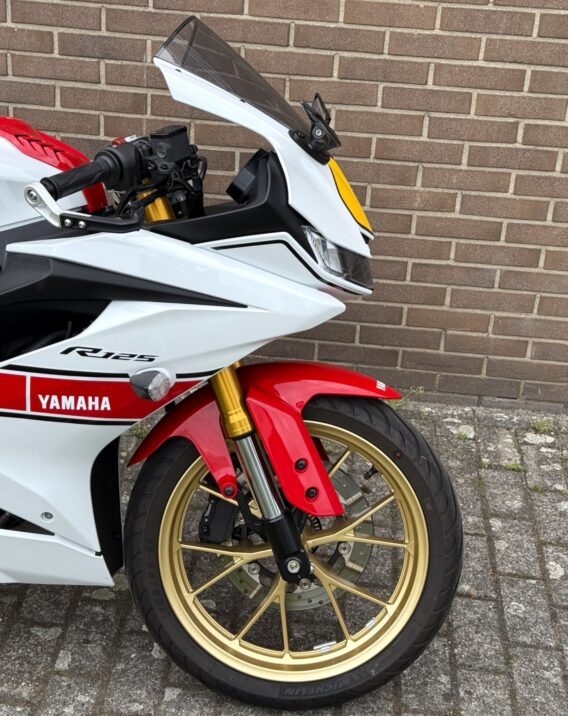 Yamaha yzf r125 anniversary anniversa - image 10
